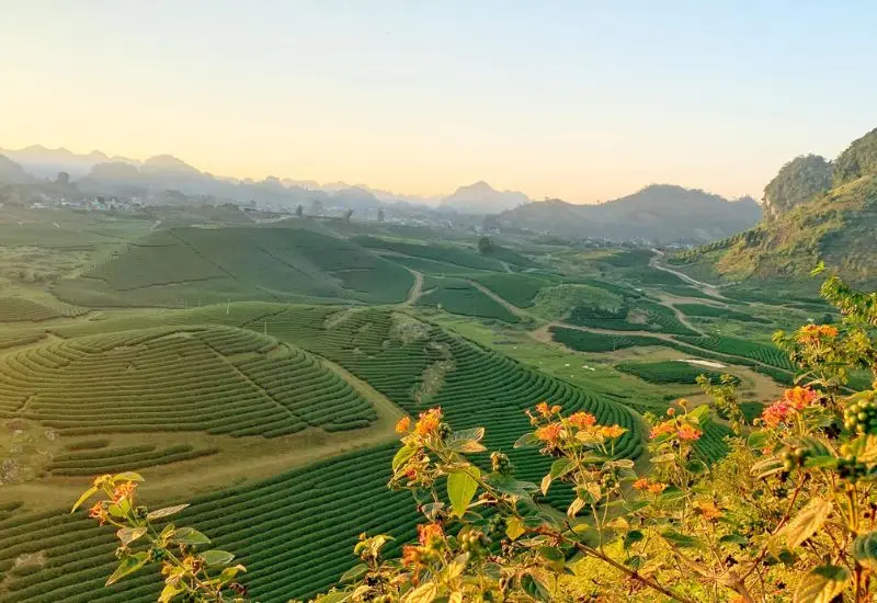 Lang thang Mộc Ch&acirc;u ngắm nh&igrave;n bức tranh thi&ecirc;n nhi&ecirc;n rực rỡ 2