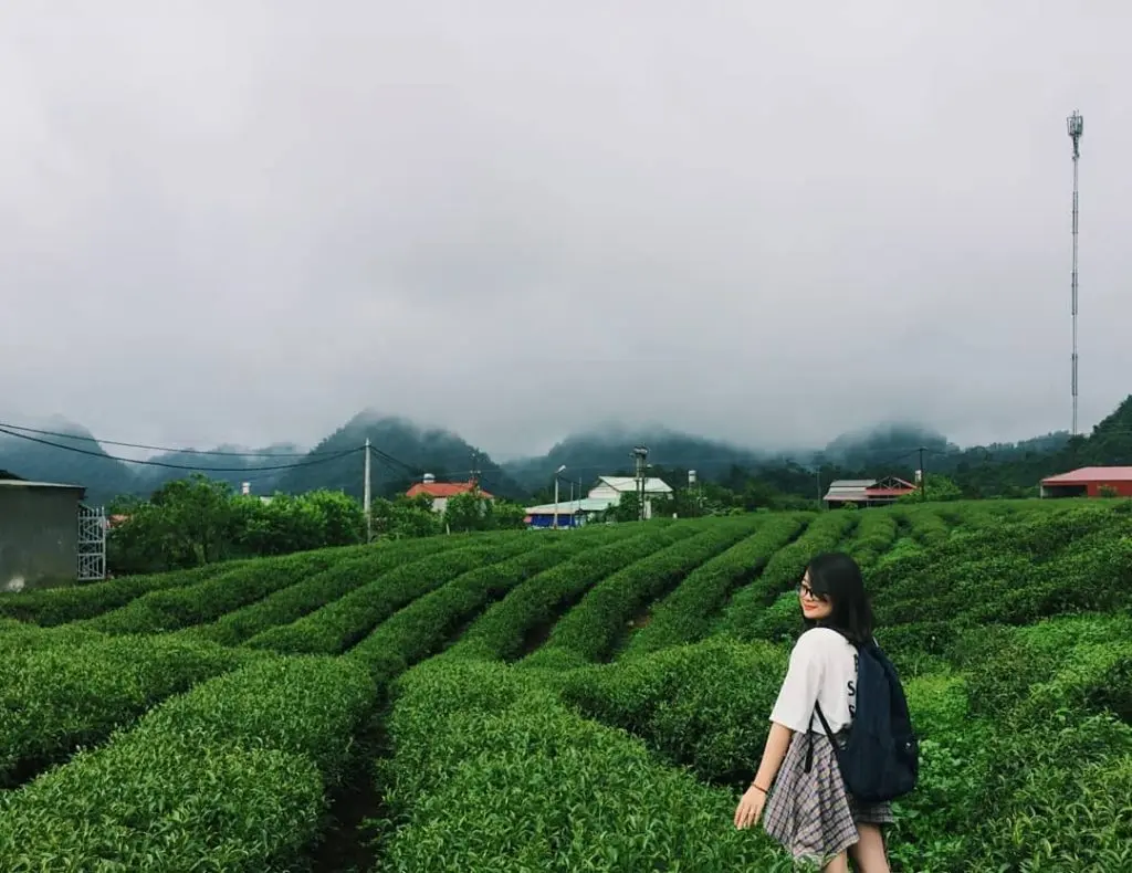 Một ch&uacute;t thương nhớ &ugrave;a về mỗi khi đọc review du lịch Mộc Ch&acirc;u th&aacute;ng 11 5