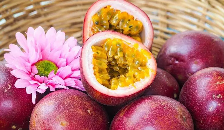 Review du lịch Mộc Ch&acirc;u th&aacute;ng 7 c&oacute; g&igrave; th&uacute; vị? 17