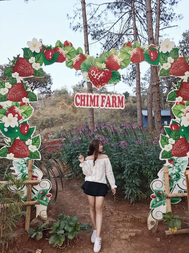 Review Mộc Ch&acirc;u 2N1Đ c&ugrave;ng c&ocirc; n&agrave;ng blogger Phương Anh 5