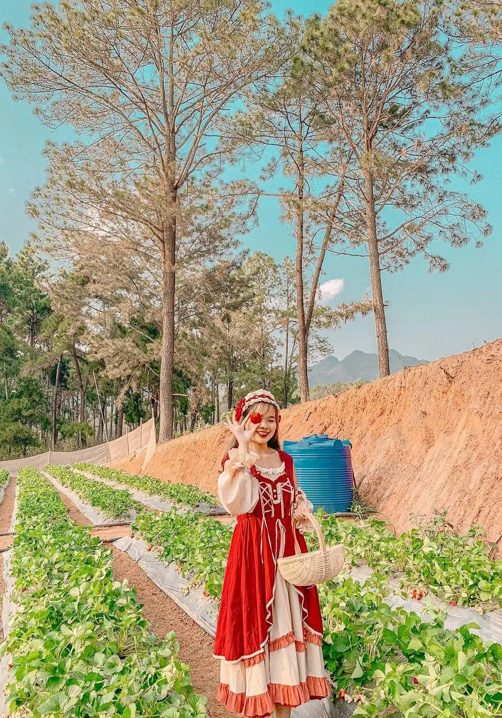 Review Mộc Ch&acirc;u th&aacute;ng 10 - Thời điểm v&agrave;ng để kh&aacute;m ph&aacute; Mộc Ch&acirc;u 5