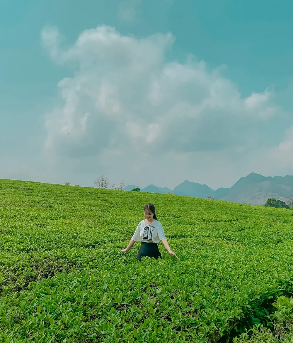 Review Mộc Ch&acirc;u th&aacute;ng 10 - Thời điểm v&agrave;ng để kh&aacute;m ph&aacute; Mộc Ch&acirc;u 7