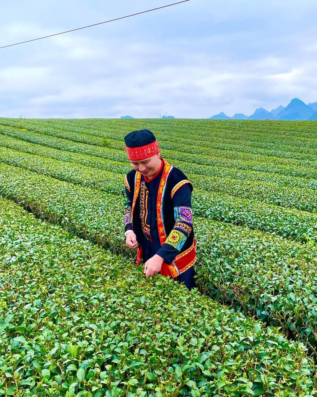Tha hồ sống ảo khi c&ugrave;ng nhau review n&ocirc;ng trường Mộc Ch&acirc;u 4