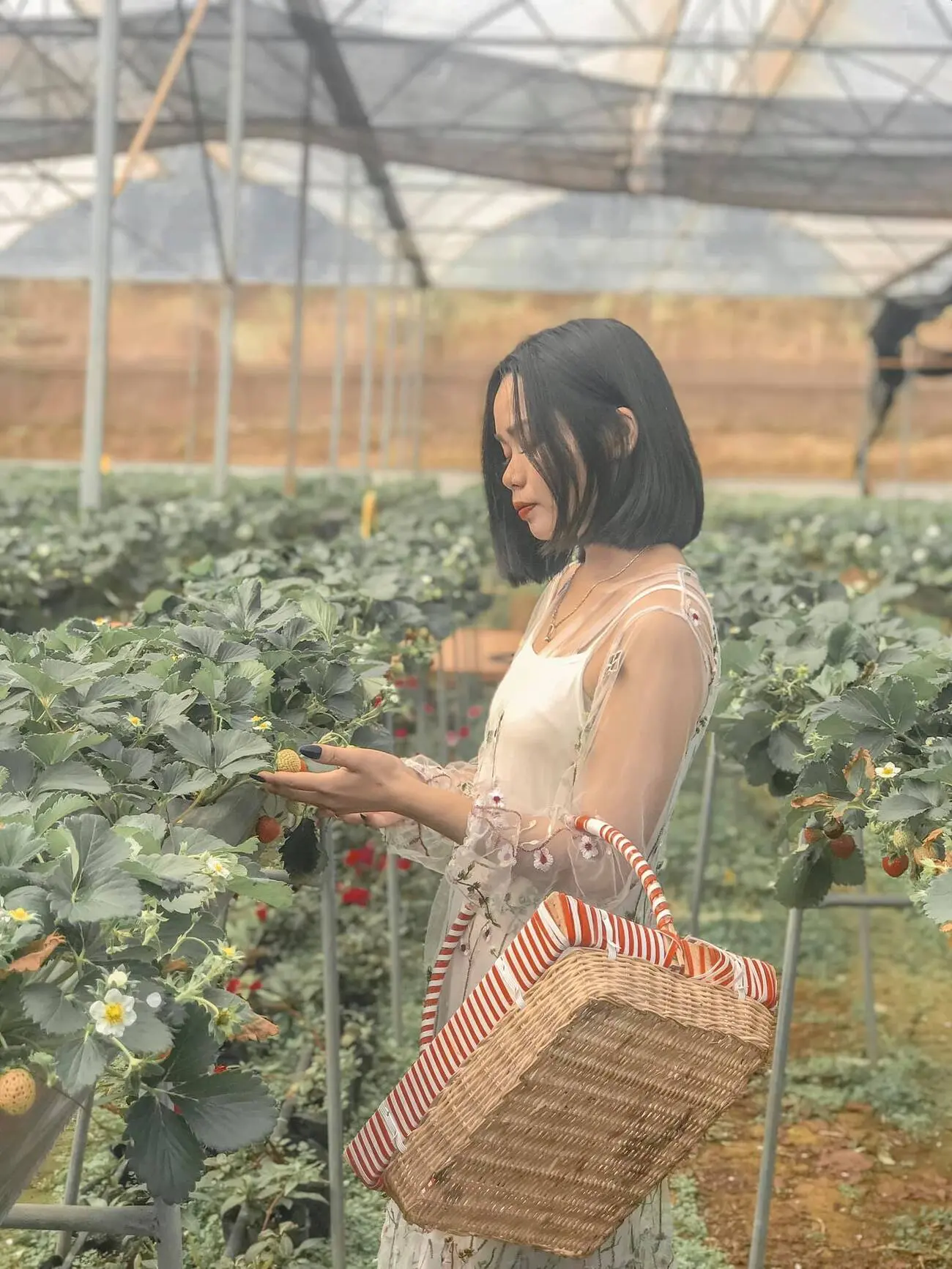 Theo ch&acirc;n reviewer Dương Thu Trang review Mộc Ch&acirc;u 2 ng&agrave;y 1 đ&ecirc;m bạn nh&eacute; 5