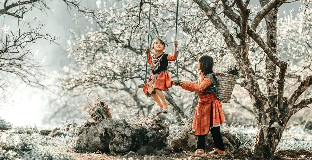 Bỏ túi Kinh nghiệm du lịch Mộc Châu tự túc từ A đến Z