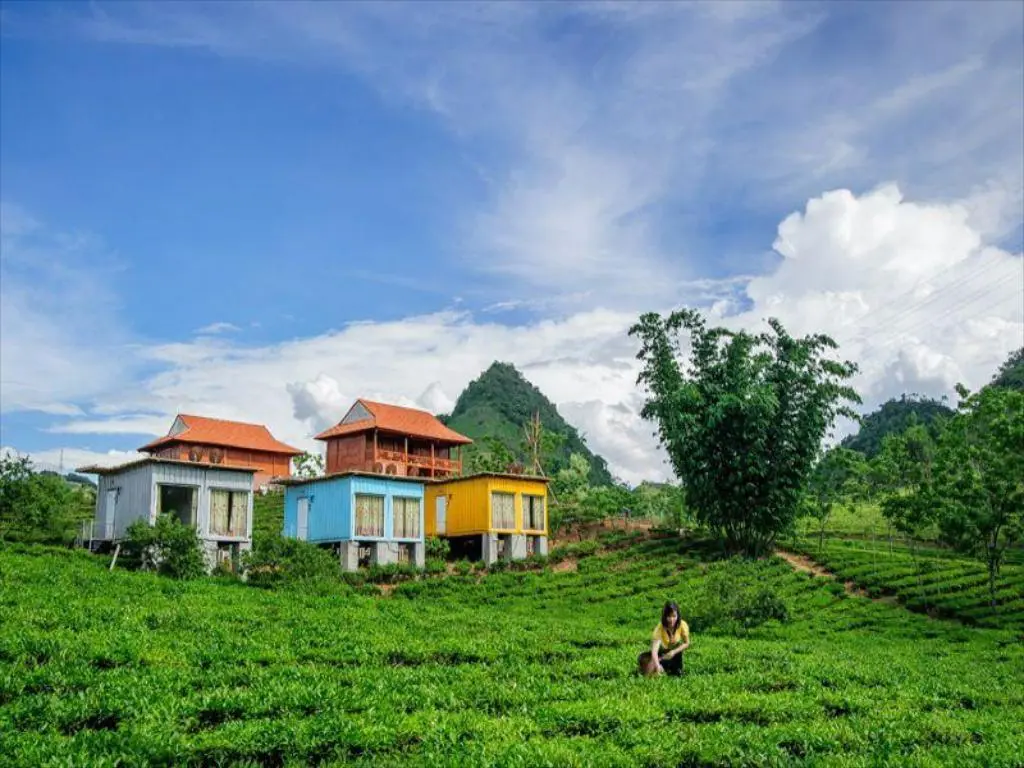 Bật m&iacute; Kinh nghiệm phượt Mộc Ch&acirc;u tự t&uacute;c si&ecirc;u chi tiết 9