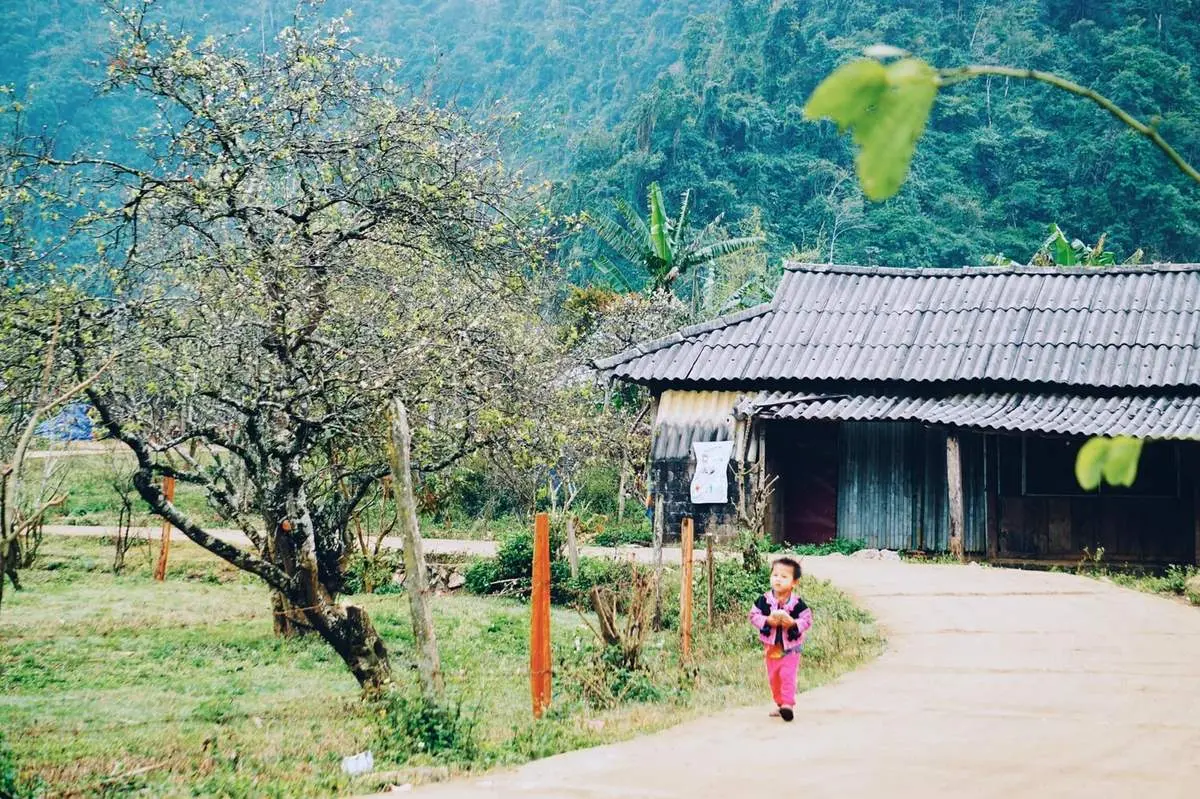 Bỏ túi kinh nghiệm đi Mộc Châu 3N2Đ tự túc chi tiết nhất từ MIA.vn 11