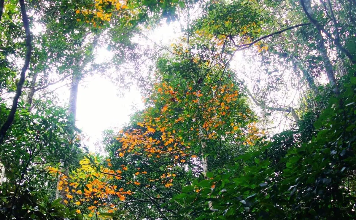 C&aacute;ch chinh phục Pha Lu&ocirc;ng Mộc Ch&acirc;u d&agrave;nh cho t&iacute;n đồ du lịch 4