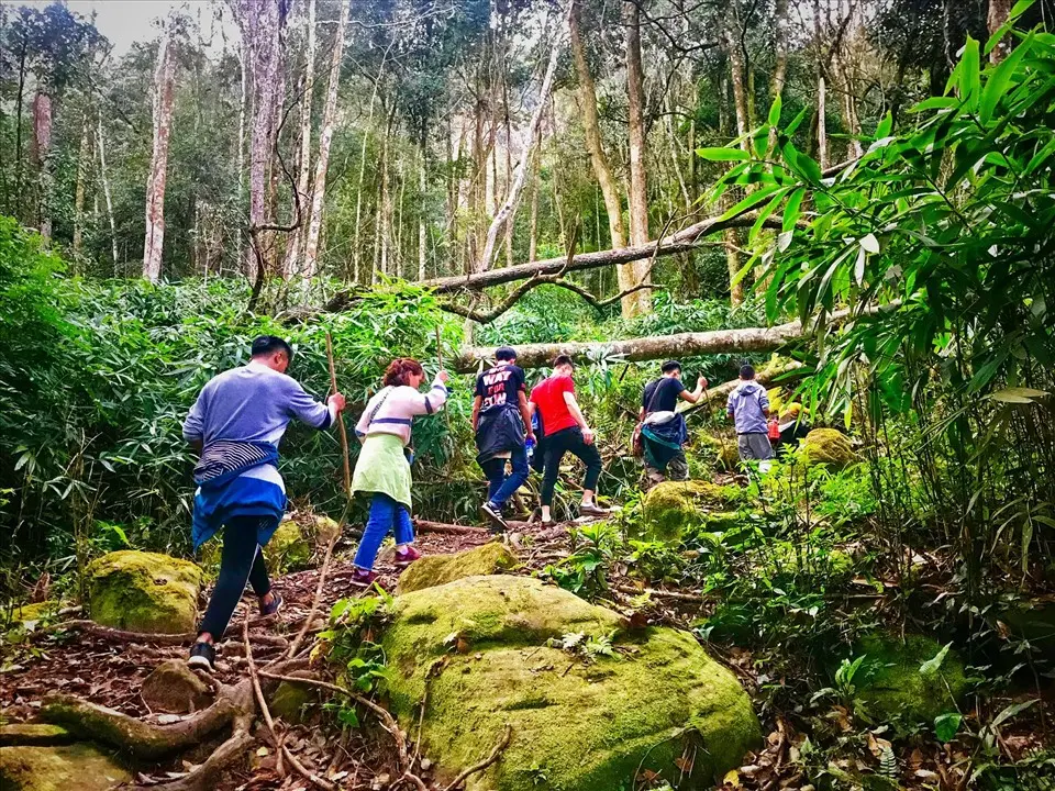 Kinh nghiệm đi trekking Pha Lu&ocirc;ng gi&uacute;p h&agrave;nh tr&igrave;nh 'dễ thở' hơn 2