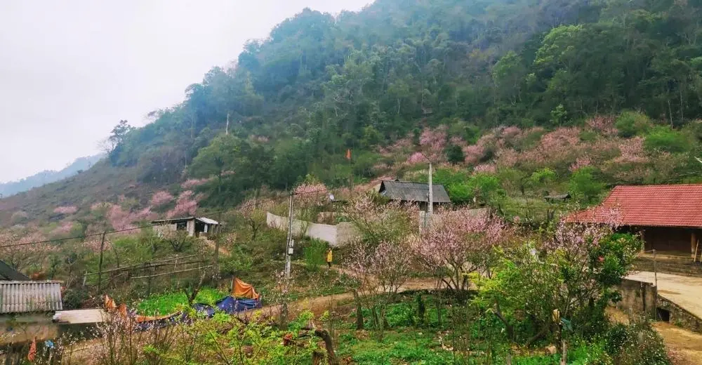 Kinh nghiệm kh&aacute;m ph&aacute; bản L&oacute;ng Lu&ocirc;ng tự t&uacute;c từ A-Z 4