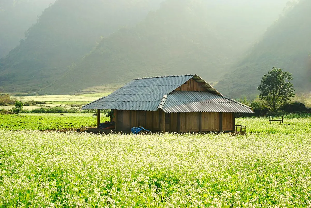 Kinh nghiệm kh&aacute;m ph&aacute; bản Thung Cu&ocirc;ng tự t&uacute;c mới nhất 2
