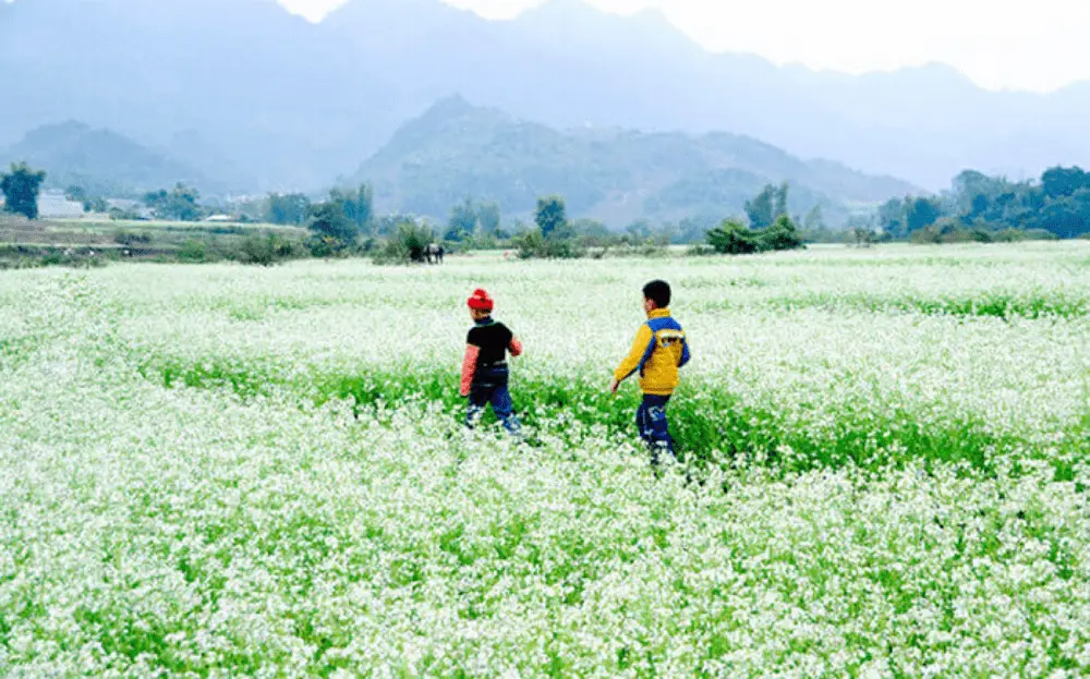 Kinh nghiệm kh&aacute;m ph&aacute; bản Thung Cu&ocirc;ng tự t&uacute;c mới nhất 3