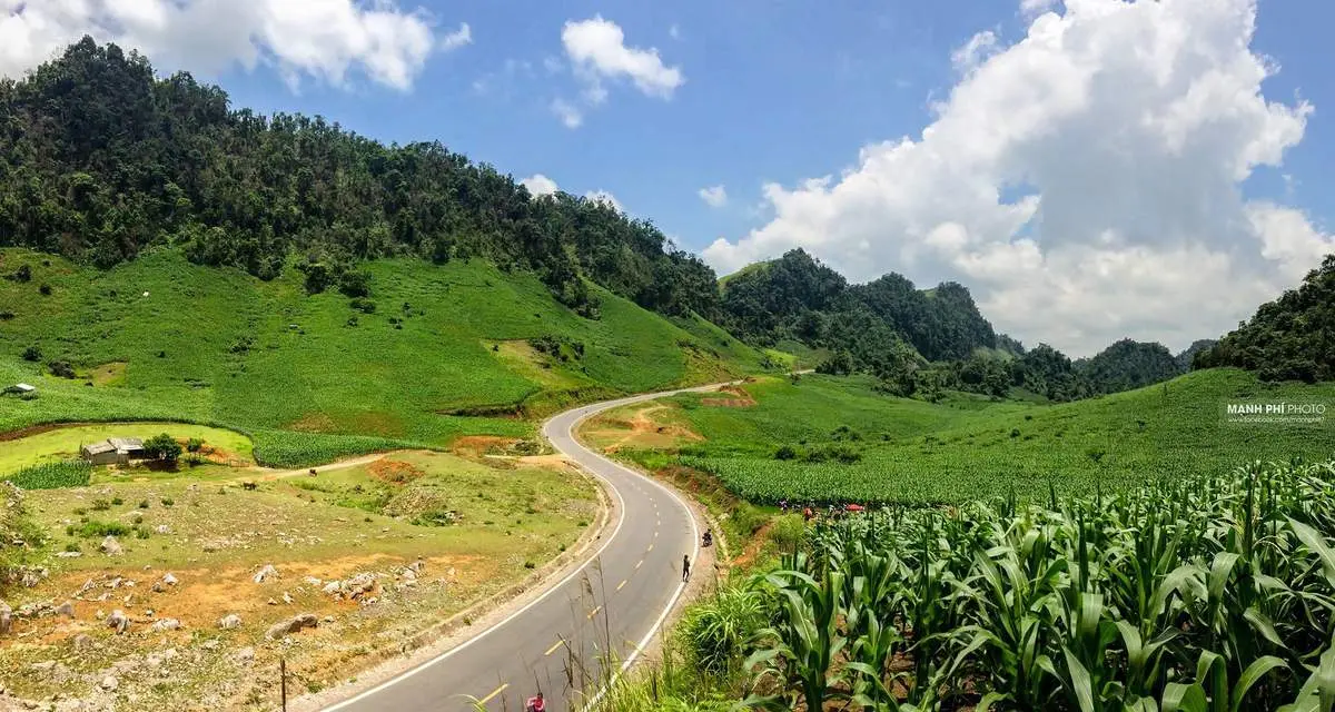 Review m&ugrave;a hoa Mộc Ch&acirc;u c&ugrave;ng nhiếp ảnh gia Mạnh Ph&iacute; 6