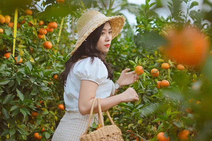 Review vườn cam Mộc Ch&acirc;u - nơi khơi nguồn cảm hứng của những bức ảnh sống ảo ngh&igrave;n like 7