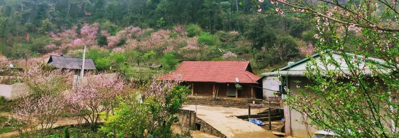 Kinh nghiệm khám phá bản Lóng Luông tự túc từ A-Z