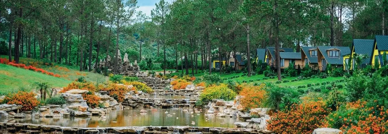 Kinh nghiệm khám phá rừng thông Bản Áng tự túc chi tiết nhất