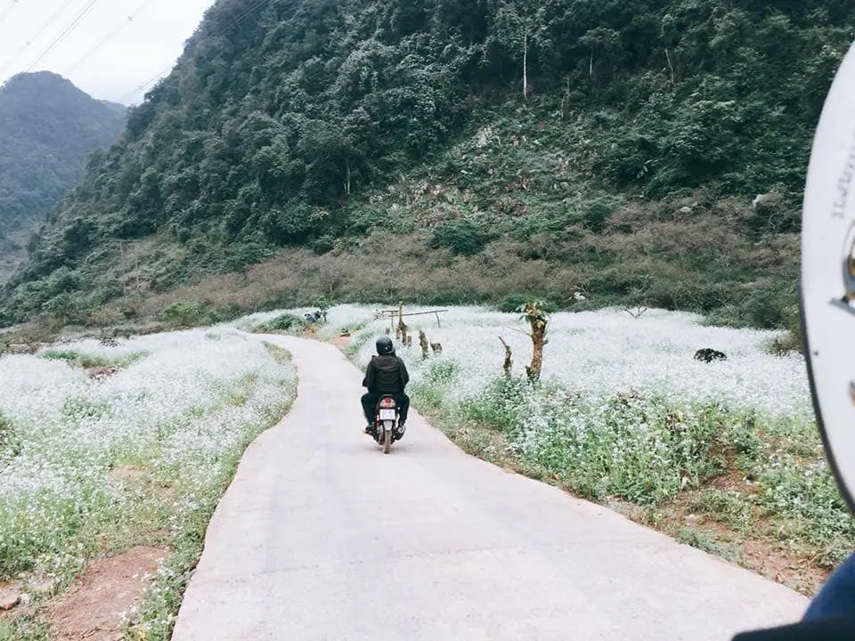 Review Tà Xùa Mộc Châu: Cuộc săn đuổi mây trên thượng ngàn của cô gái nhỏ Phương Thúy