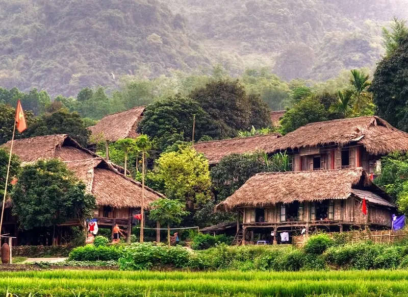 Bỏ t&uacute;i Lịch tr&igrave;nh Mộc Ch&acirc;u - Mai Ch&acirc;u 4N3Đ đầy trải nghiệm th&uacute; vị 5