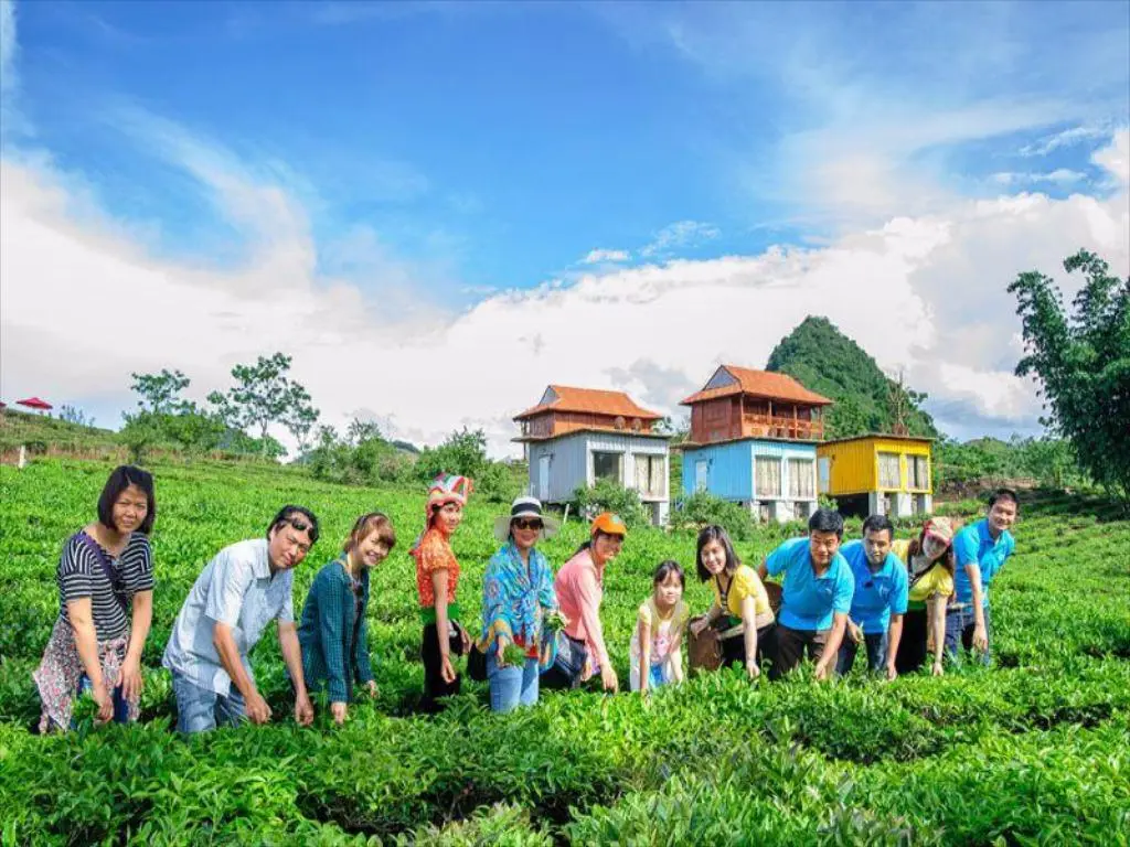 Gợi &yacute; lịch tr&igrave;nh h&aacute;i mận Mộc Ch&acirc;u 3N2Đ trọn vẹn v&agrave; chi tiết nhất 6