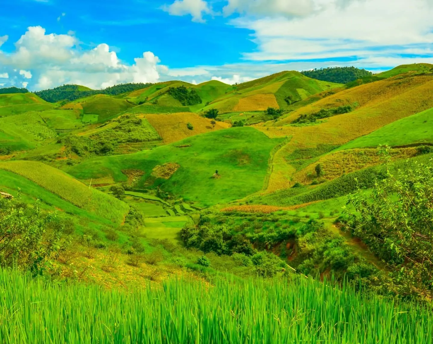 Gợi &yacute; lịch tr&igrave;nh kh&aacute;m ph&aacute; Pha Lu&ocirc;ng - Mộc Ch&acirc;u chi tiết nhất 9