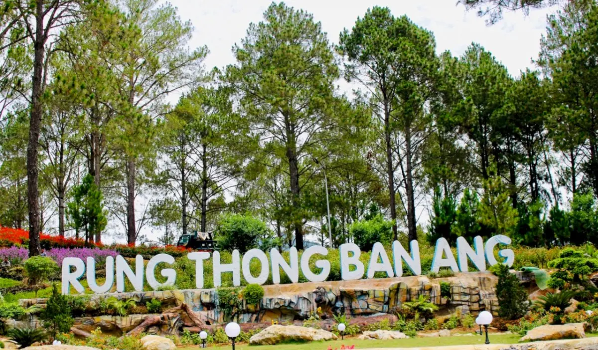 Gợi &yacute; lịch tr&igrave;nh Mộc Ch&acirc;u 2N1Đ chi tiết từ A đến Z d&agrave;nh cho bạn 6