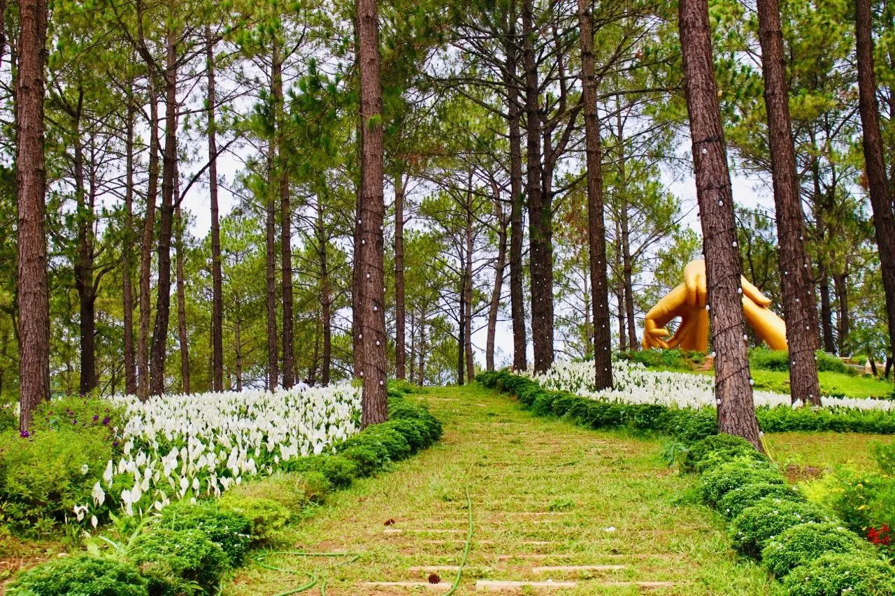 Gợi &yacute; lịch tr&igrave;nh Mộc Ch&acirc;u 4N3Đ tự t&uacute;c d&agrave;nh cho hội bạn th&acirc;n 6