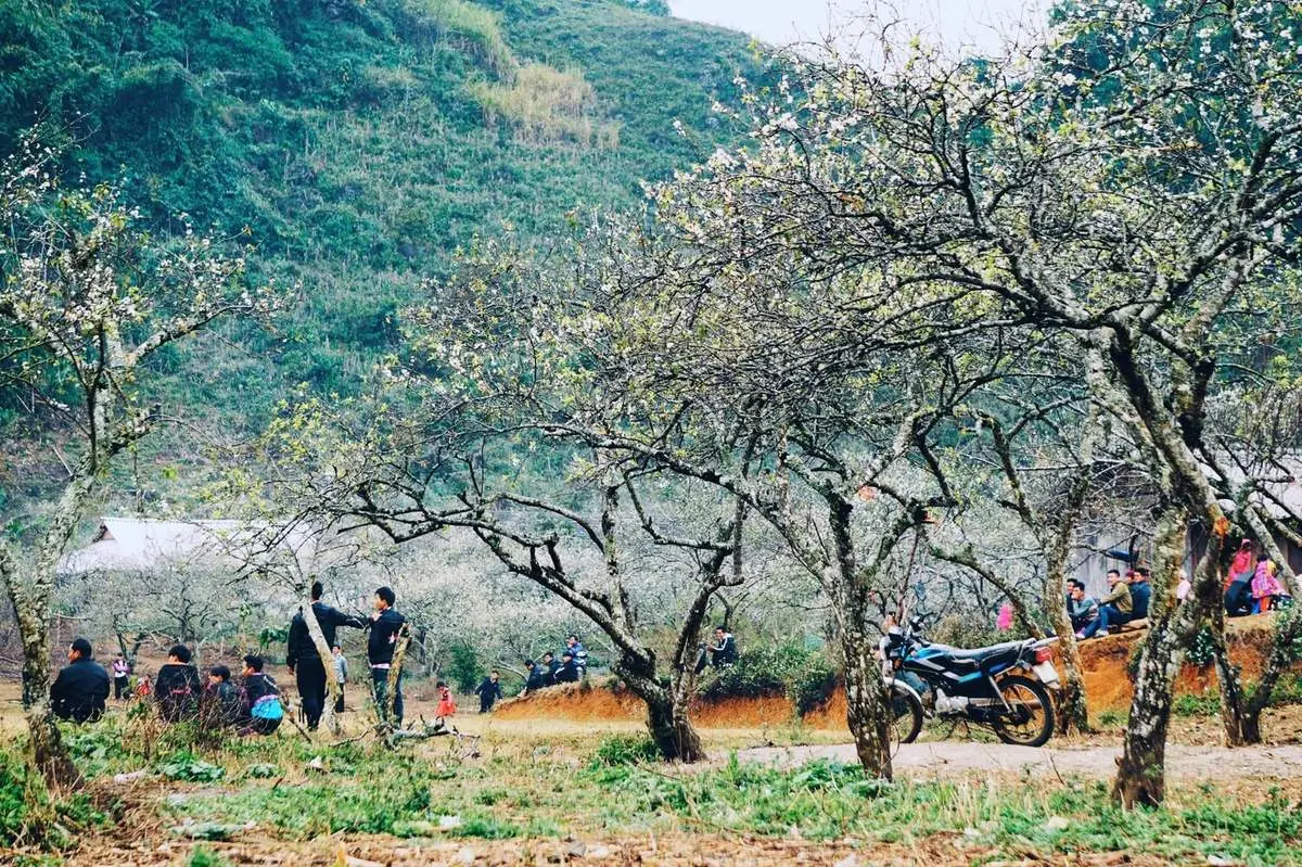 Gợi &yacute; lịch tr&igrave;nh Mu N&aacute;u - Phi&ecirc;n C&agrave;nh 2 ng&agrave;y tự t&uacute;c cho team m&ecirc; Mộc Ch&acirc;u 4