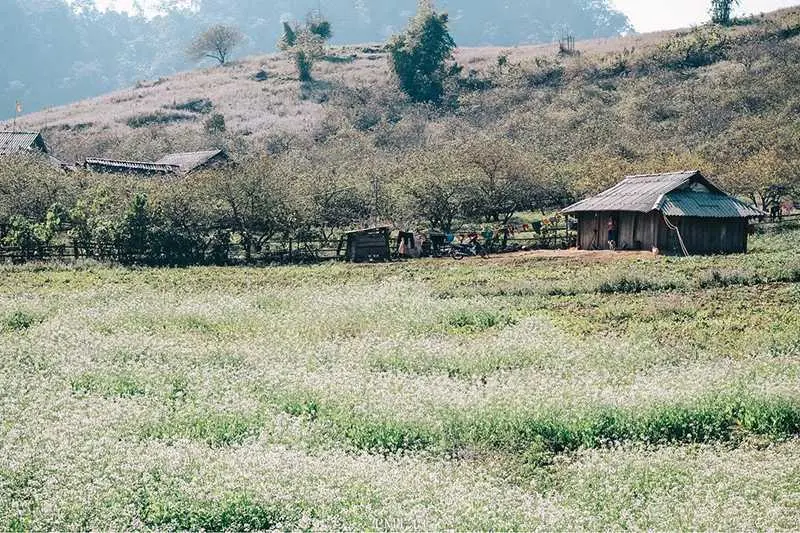 Hành trình khám phá Mộc Châu 3N2Đ với hàng loạt trải nghiệm thú vị 2
