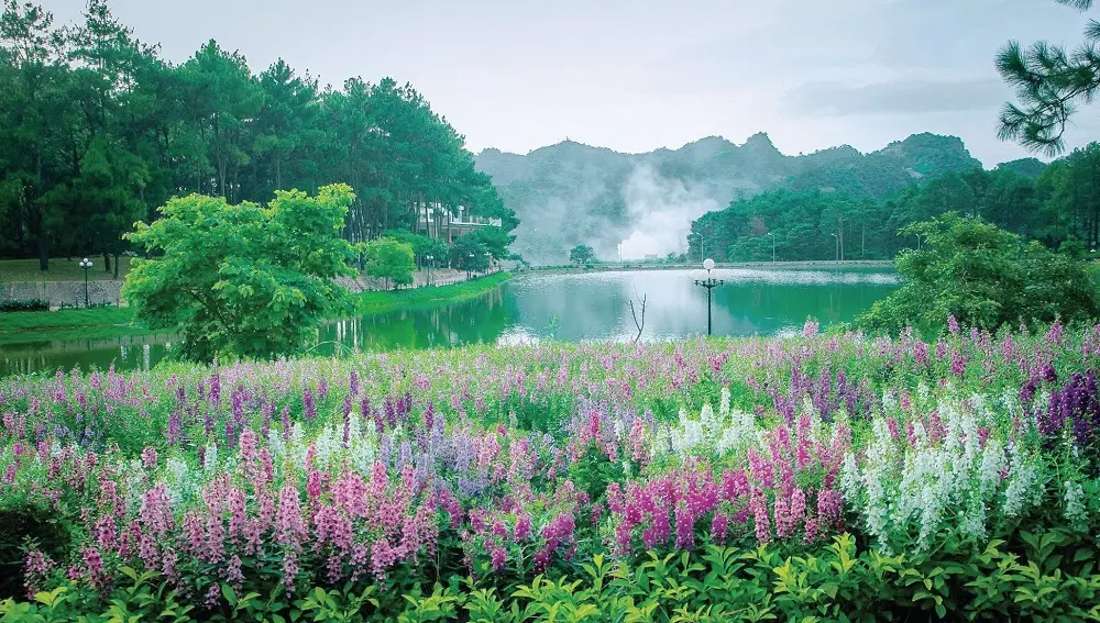 Lịch tr&igrave;nh gợi &yacute; cho du lịch Mộc Ch&acirc;u 2 ng&agrave;y cuối tuần d&agrave;nh cho bạn 4