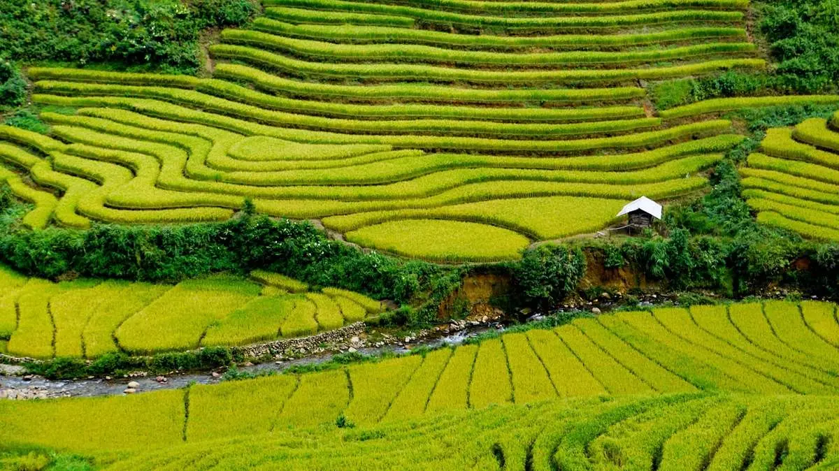 Th&iacute;ch th&uacute; với những Gợi &yacute; lịch tr&igrave;nh T&agrave; X&ugrave;a - Mộc Ch&acirc;u 2N1Đ 5