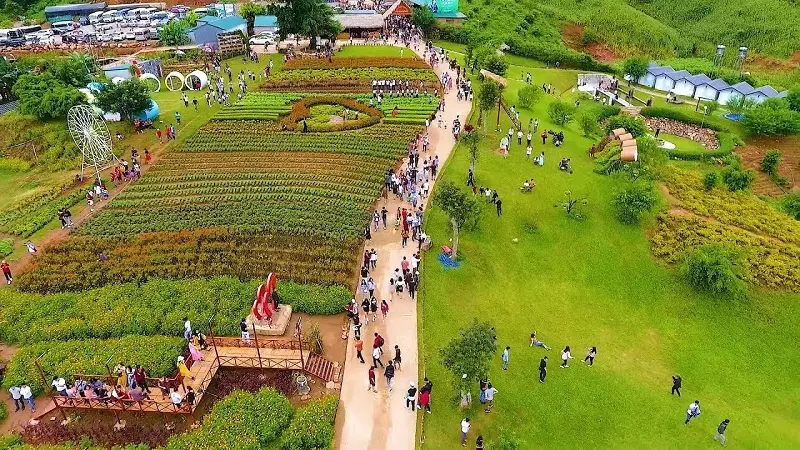 Gợi ý lịch trình Mộc Châu 2N1Đ chi tiết dành cho hội bạn