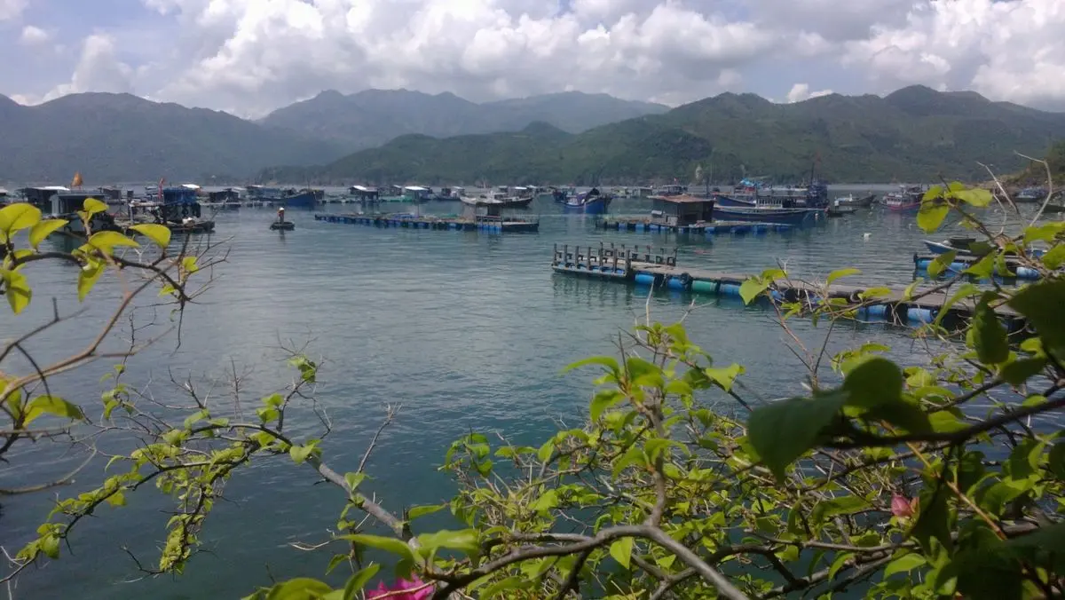 B&atilde;i Tranh Nha Trang &ndash; Vi&ecirc;n ngọc qu&yacute; nơi đảo Tr&iacute; Nguy&ecirc;n 4