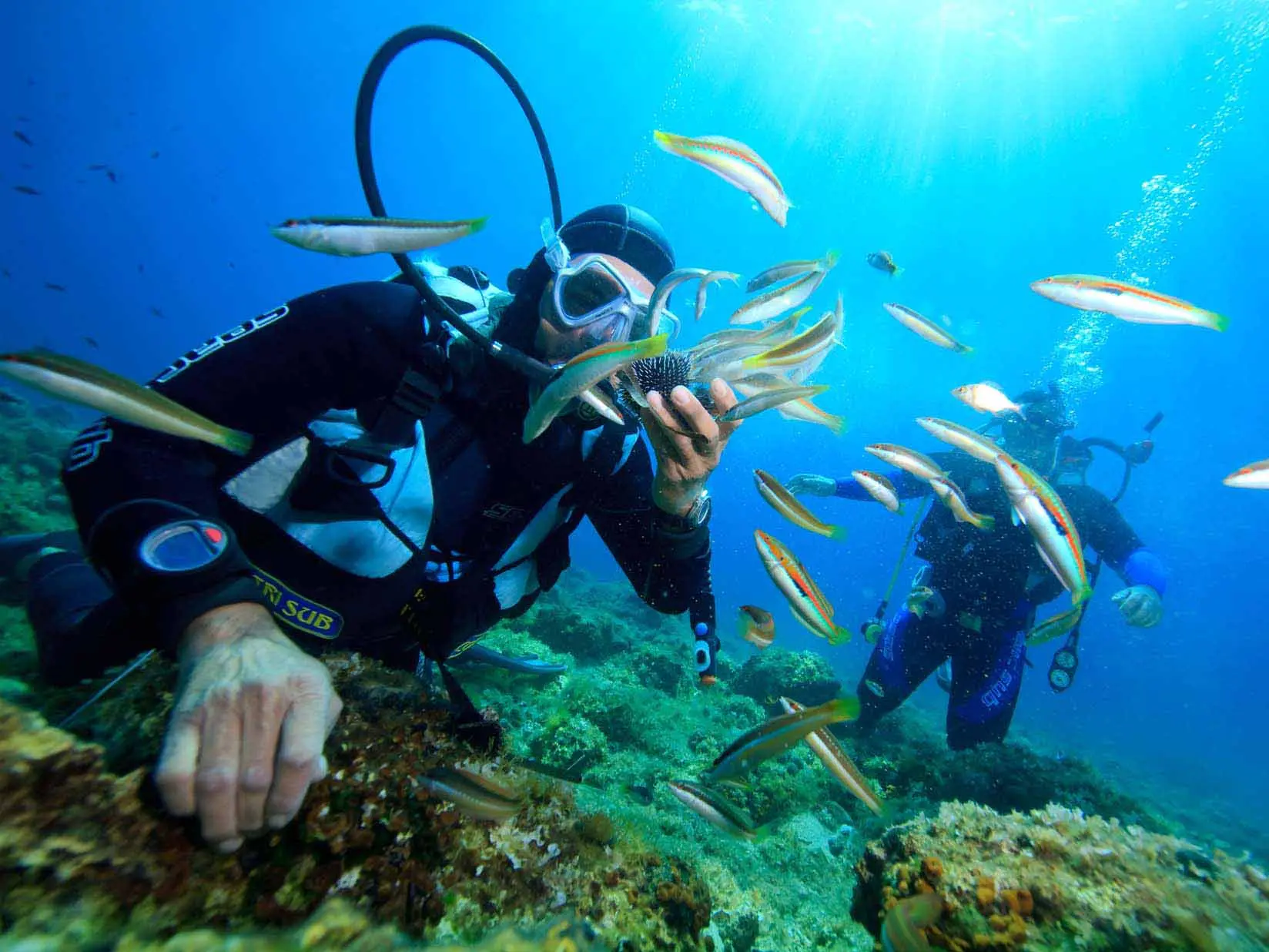 B&atilde;i Tranh Nha Trang &ndash; Vi&ecirc;n ngọc qu&yacute; nơi đảo Tr&iacute; Nguy&ecirc;n 5