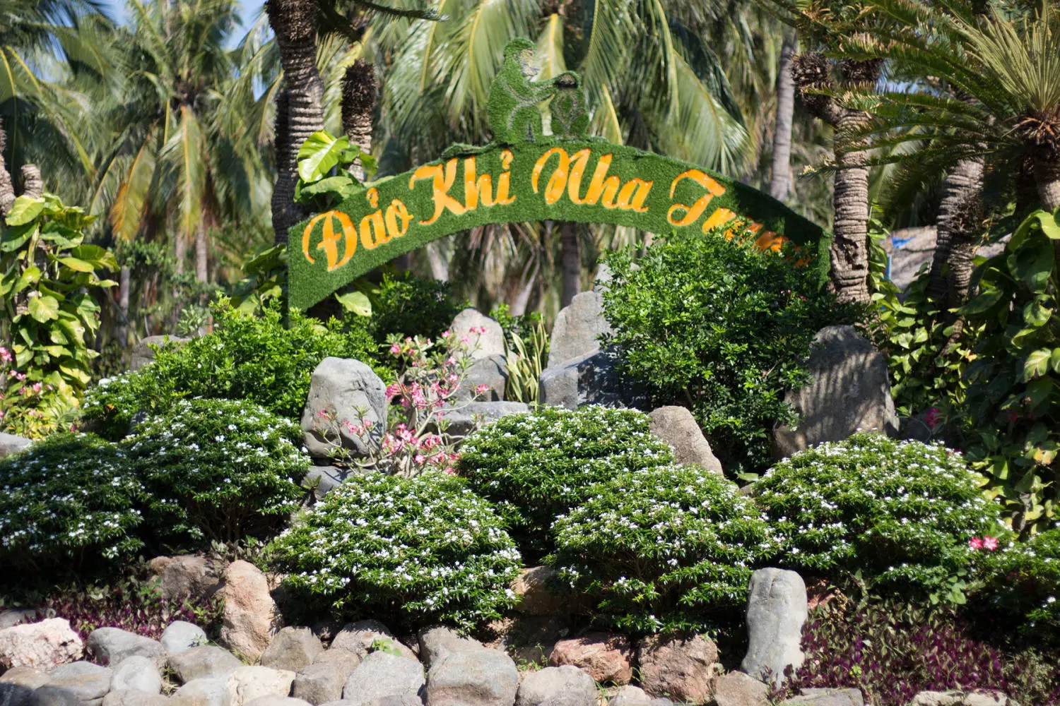 Đảo Khỉ Nha Trang - Vương quốc của hơn 1500 ch&uacute; khỉ 7