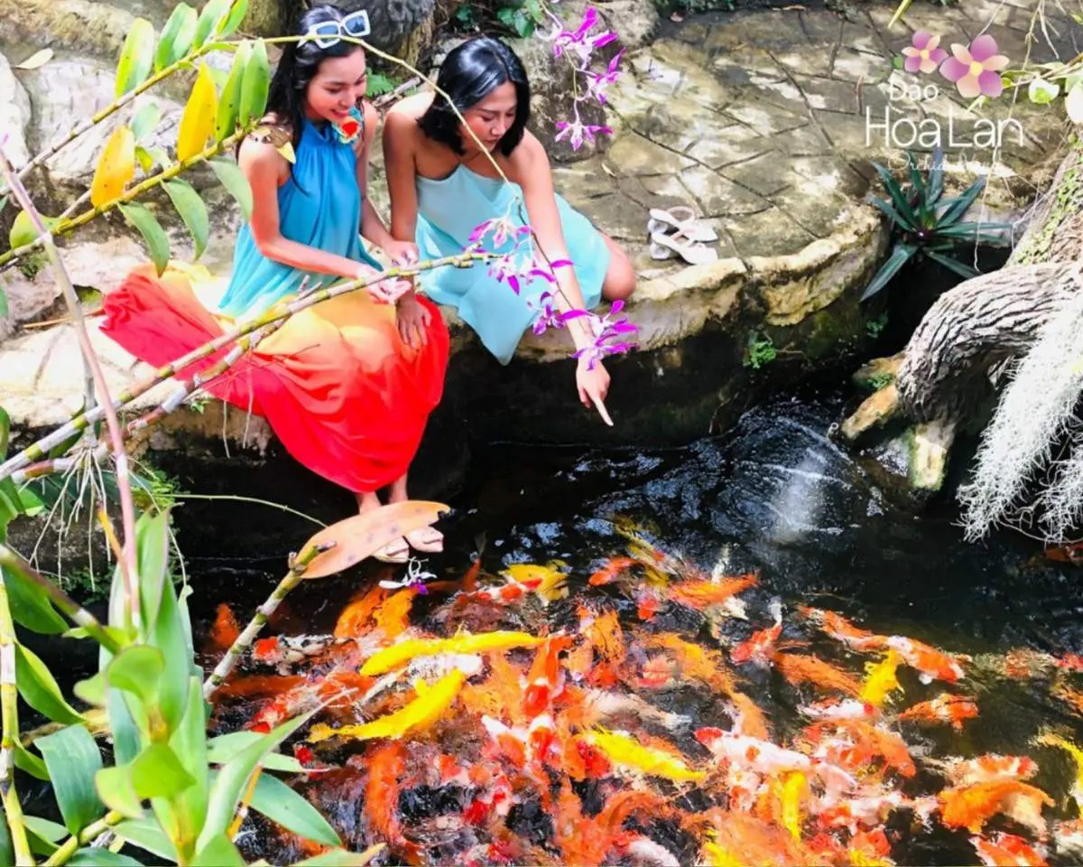 Đảo Khỉ Nha Trang - Vương quốc của hơn 1500 ch&uacute; khỉ 15