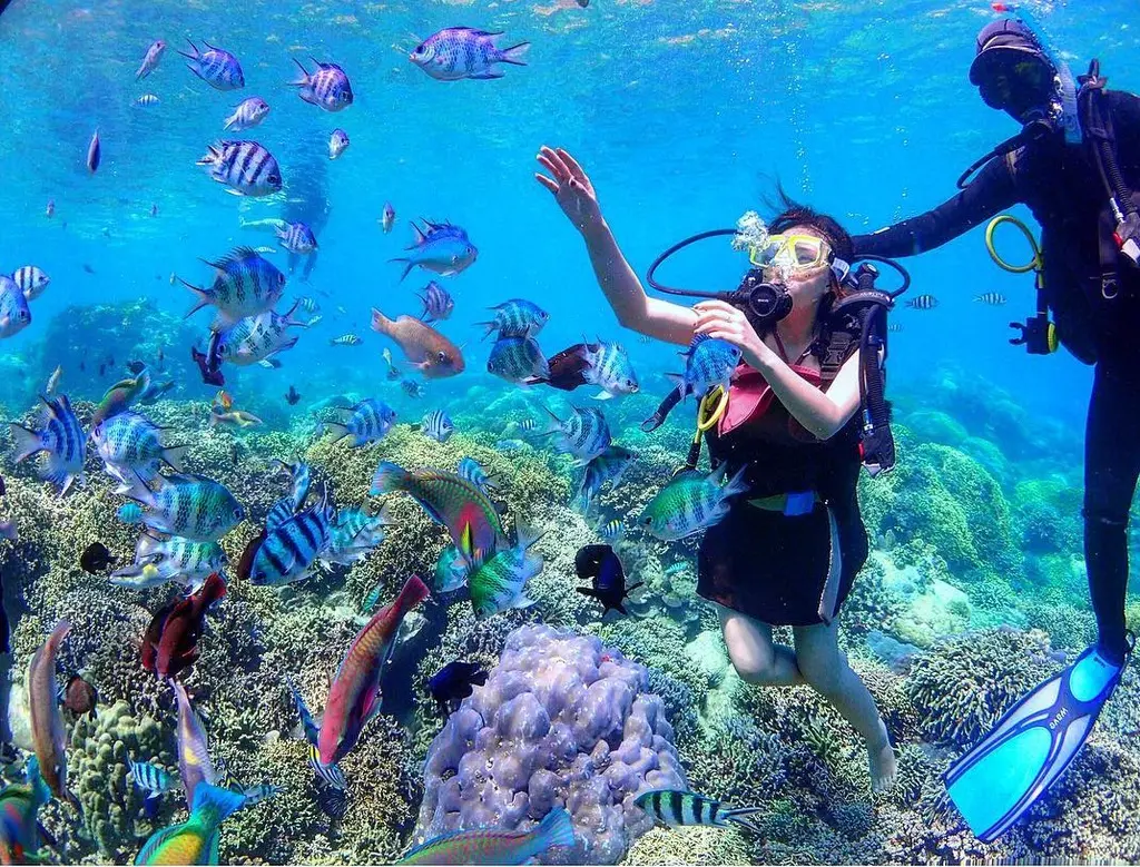 Đảo Yến - Hòn Nội Nha Trang, Chốn thiên đường ảo huyền với màu biển xanh 15