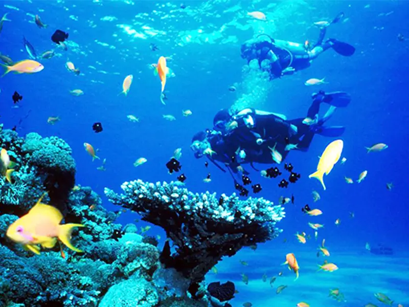 Hòn Sầm Nha Trang - Khám phá viên ngọc xanh ẩn giấu giữa vịnh Nha Phu 15