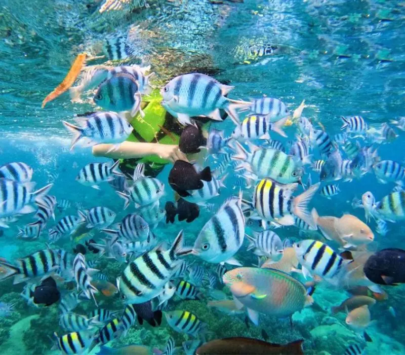 Kh&aacute;m ph&aacute; B&atilde;i Tranh, thi&ecirc;n đường biển tuyệt đẹp tại Nha Trang 10