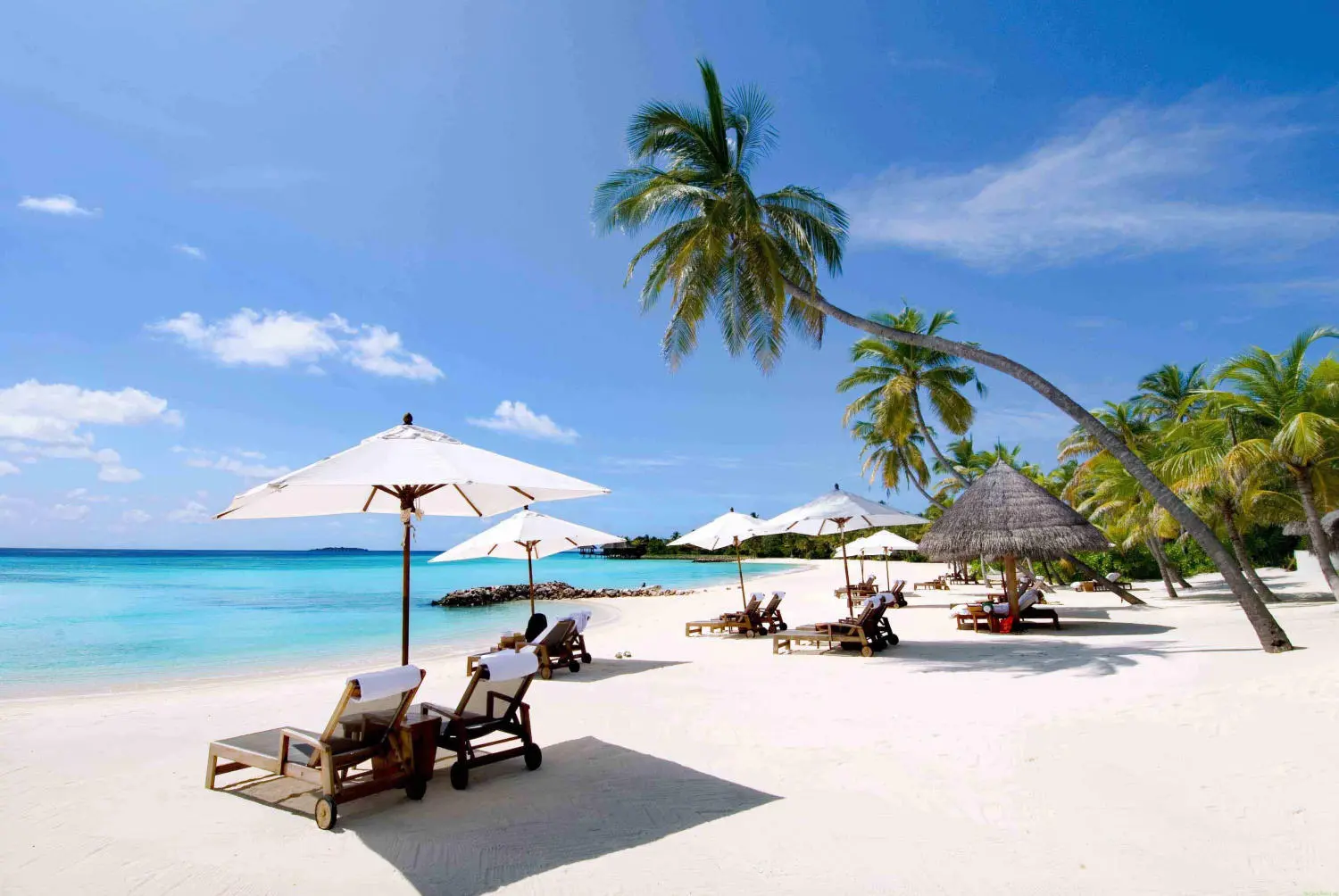 Ngất ngây trước vẻ đẹp thơ mộng của khu bảo tồn biển Hòn Mun Nha Trang 2