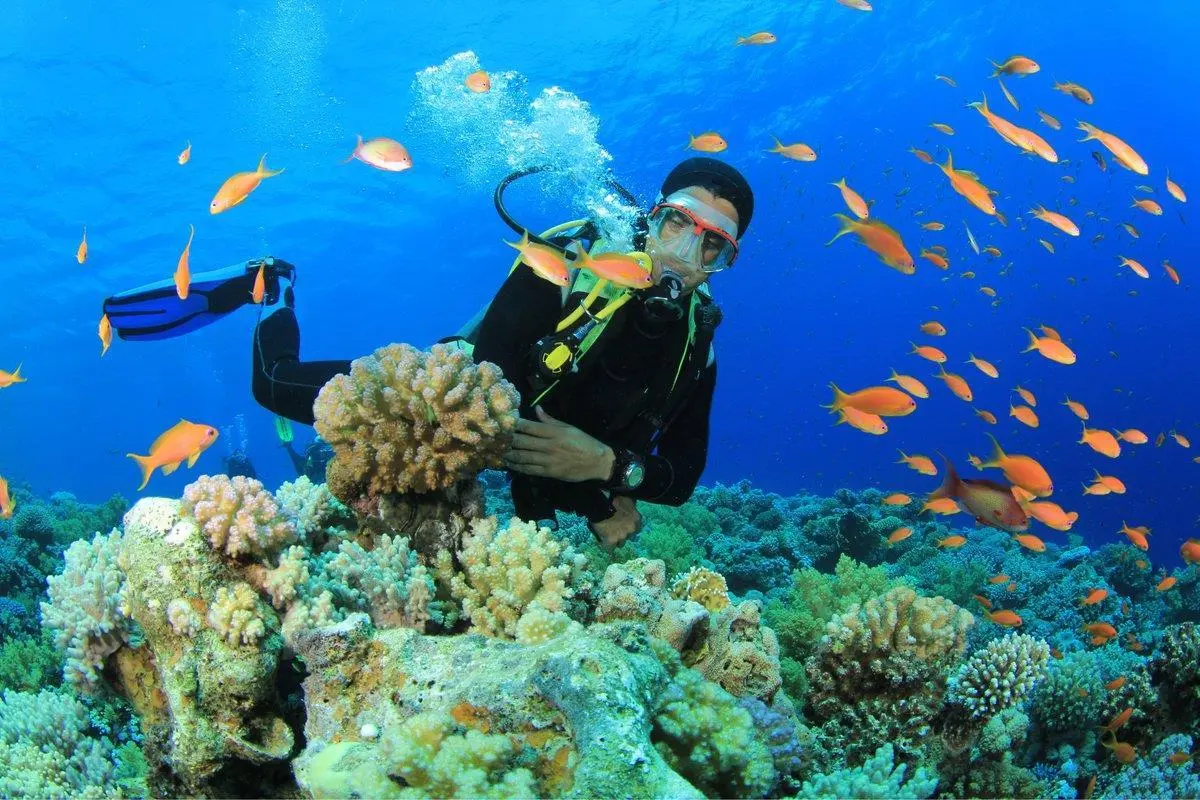 Trải nghiệm từ A-Z c&aacute;c hoạt động du lịch biển hot ở Nha Trang 4
