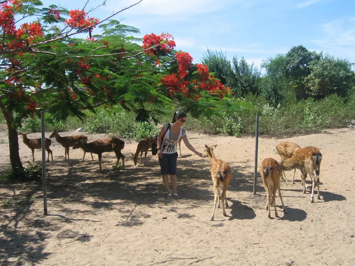 Về đảo Hoa Lan Nha Trang và chìm đắm trong cảnh sắc thiên nhiên tuyệt vời 8
