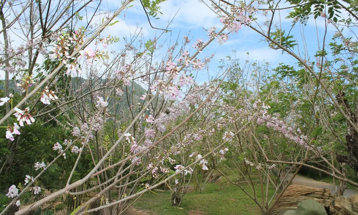 Waterland Thạch L&acirc;m - Khu vui chơi giải tr&iacute; đa sắc m&agrave;u của th&agrave;nh phố biển Nha Trang 6