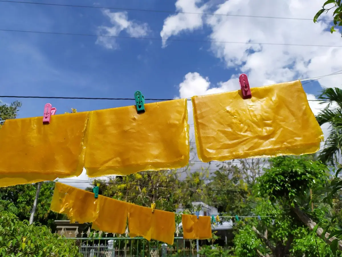 B&aacute;nh xo&agrave;i - Ngẩn ngơ với những miếng b&aacute;nh v&agrave;ng &oacute;ng c&ugrave;ng vị chua chua kh&oacute; cưỡng 5