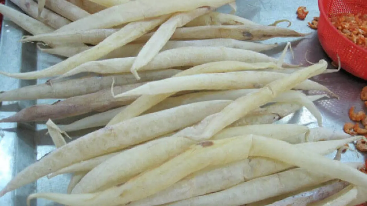 Bong b&oacute;ng c&aacute; Nha Trang - M&oacute;n đặc sản si&ecirc;u lạ được nhiều du kh&aacute;ch săn đ&oacute;n 4