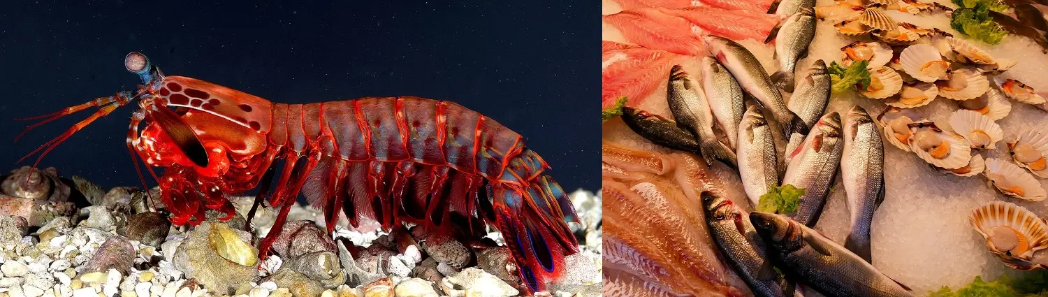 Kh&aacute;m ph&aacute; Nh&agrave; h&agrave;ng Hằng 66 Seafood Nha Trang 27