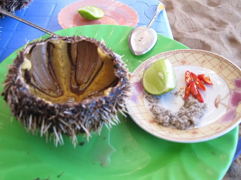Nhum biển - Đặc sản độc đáo của thành phố biển Nha Trang 6