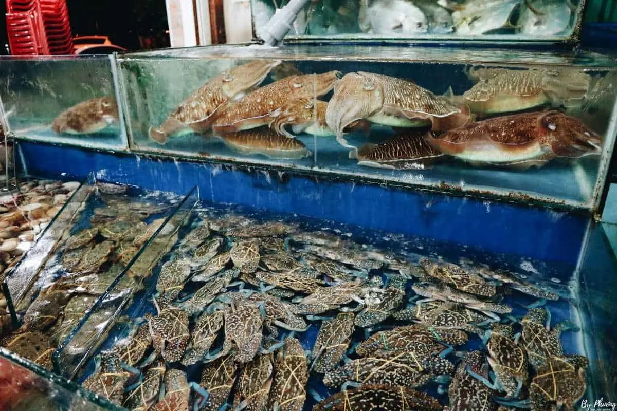Săn ngay 10 quán hải sản Bờ Kè Nha Trang ngon nức tiếng 3
