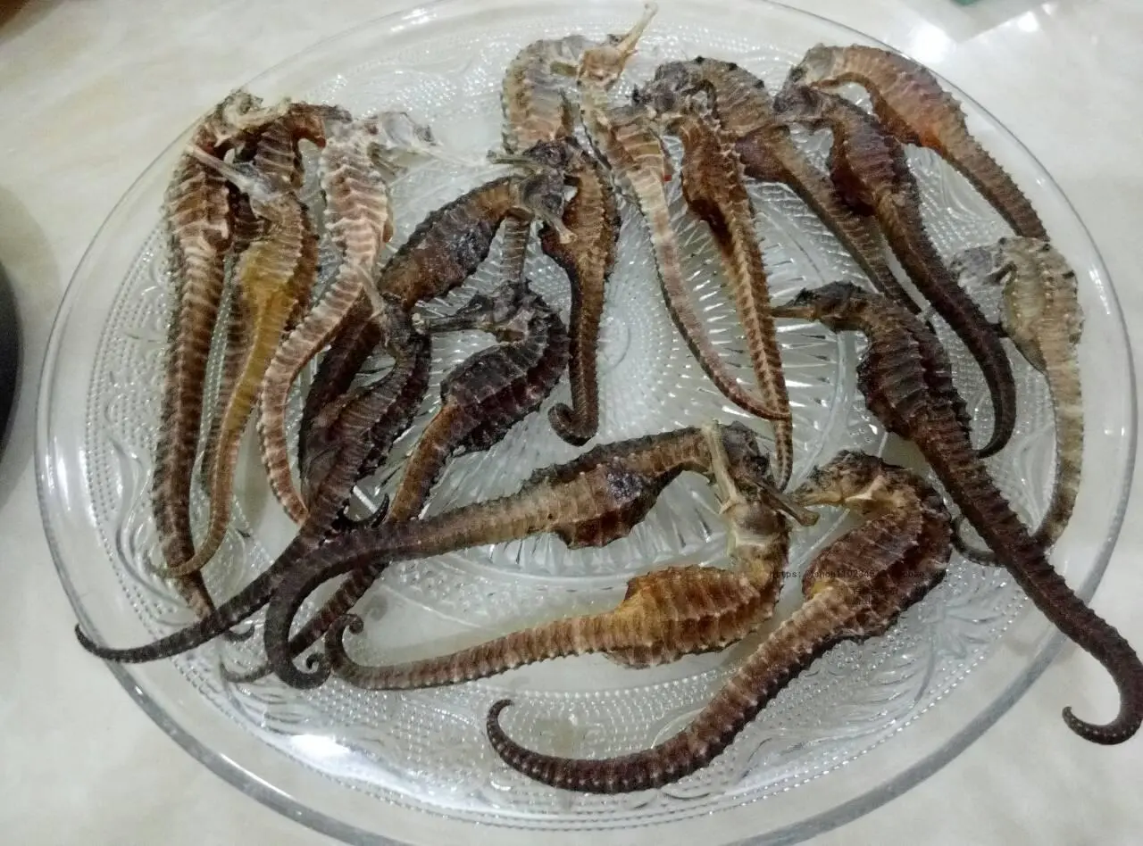 Top 20+ đặc sản Nha Trang nức tiếng gần xa 17