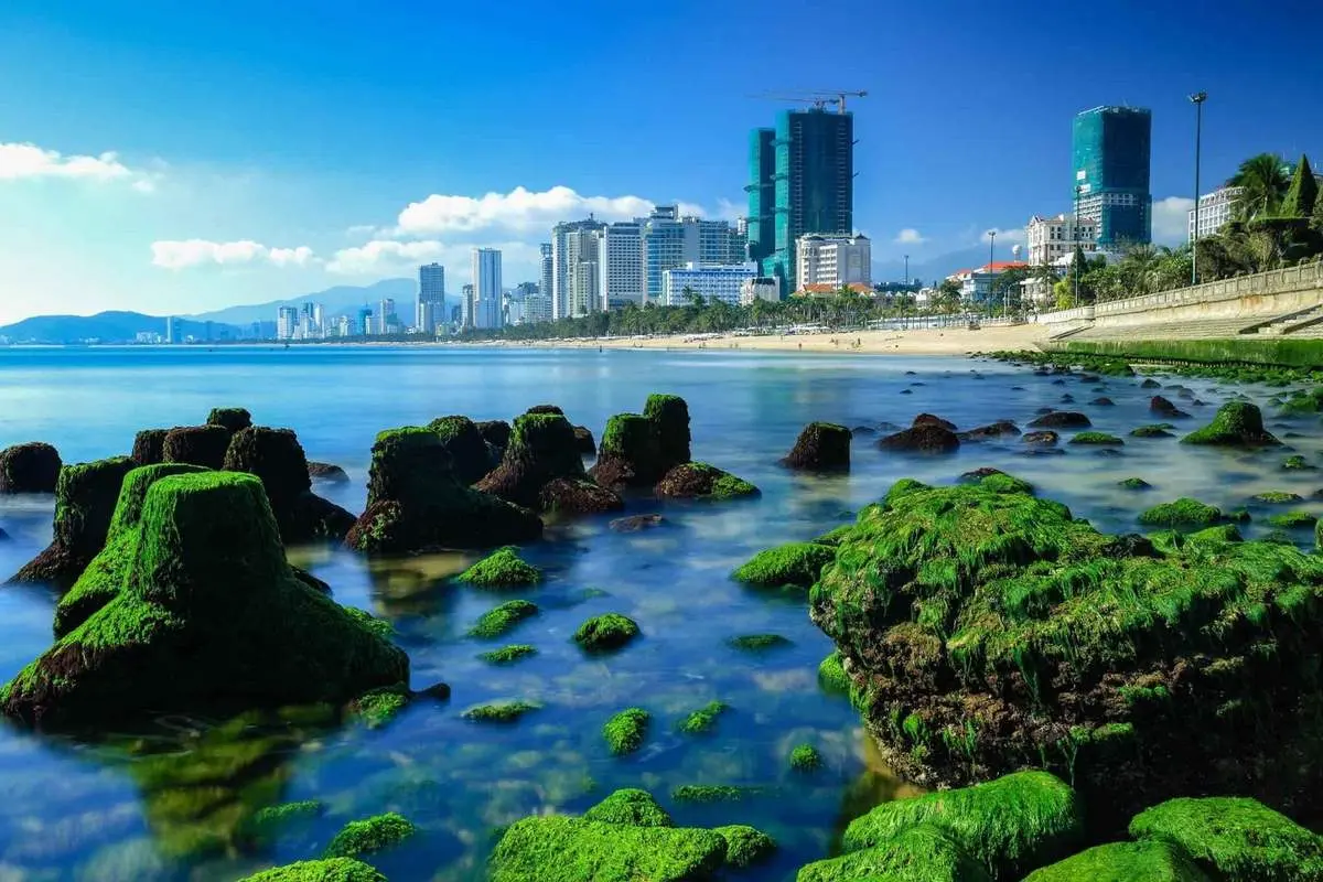 B&atilde;i r&ecirc;u Nha Trang &ndash; Vẻ đẹp m&ecirc; hoặc của thi&ecirc;n nhi&ecirc;n hoang sơ 13