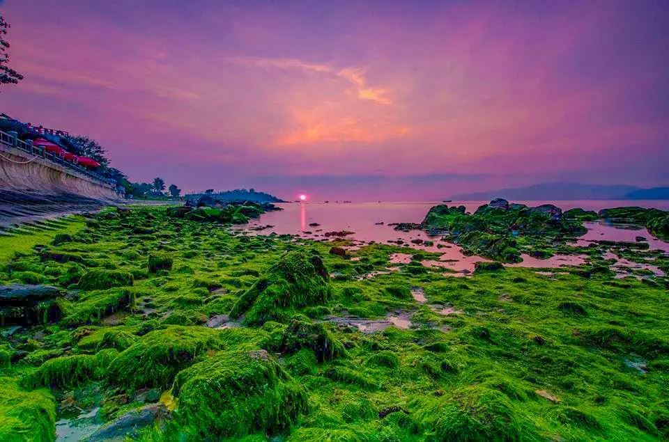 B&atilde;i r&ecirc;u Nha Trang &ndash; Vẻ đẹp m&ecirc; hoặc của thi&ecirc;n nhi&ecirc;n hoang sơ 6